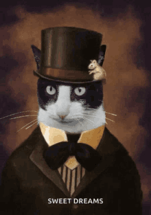 tuxedo-cat.gif
