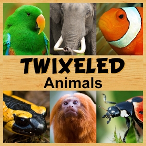 twixeled_animals_logo.jpg