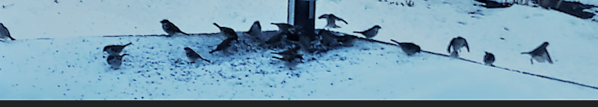 upload_2022-2-7_12-31-33.png