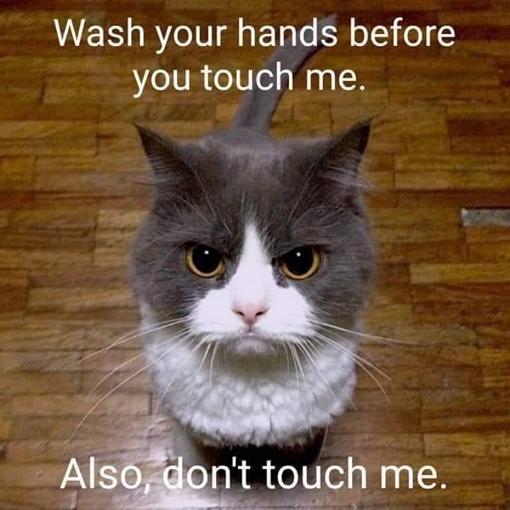 wash-stillnotouch.jpg