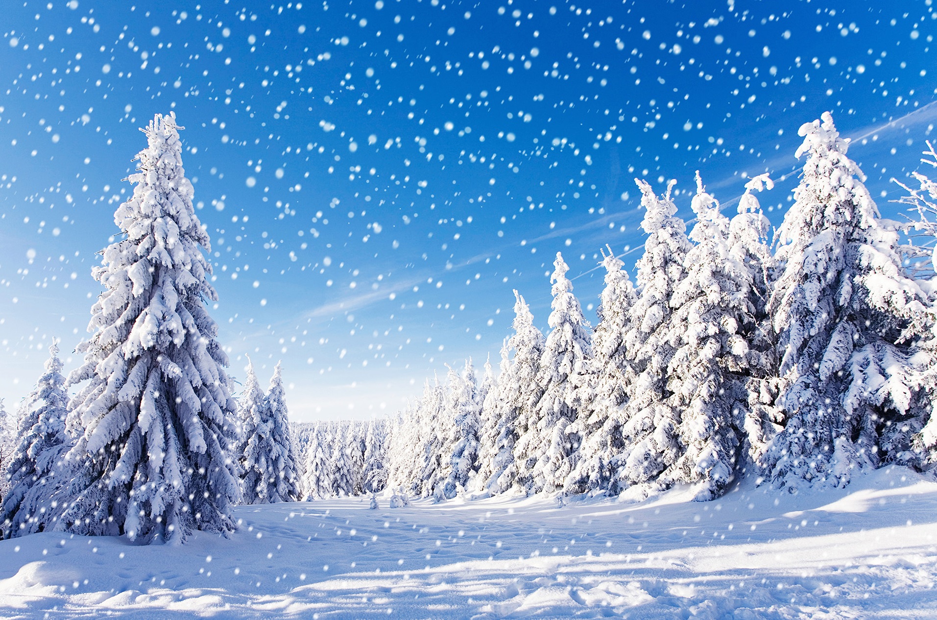 winter_220.jpg