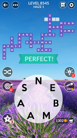 Wordscapes-level-8545.png