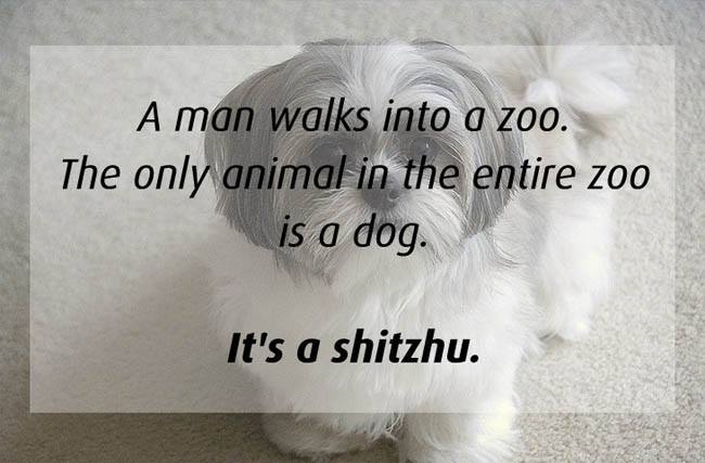 zoo.jpg