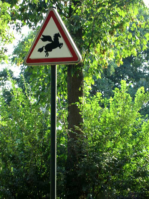 zz Funny-Signs-Horse-34.jpg