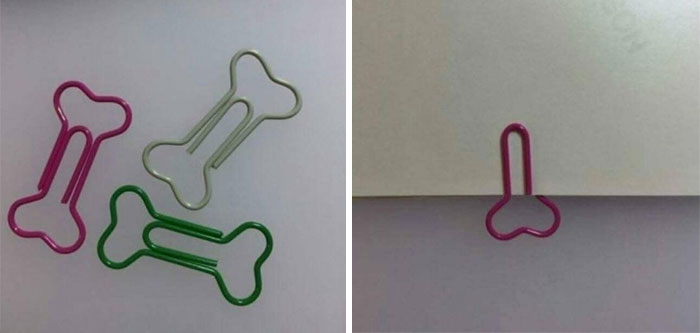 zzI Thought It Was A Great Idea To Buy 5000 'Bone Shape' Paper Clips For Our Veterinary Clinic.jpg