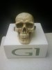 g1skull.jpg