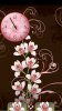 dxtop Cherry Blossom Home screen 2.jpg