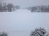 front Yard 2.jpg