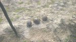 WP_20170614_15_00_40_Pro.jpg