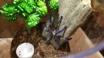 20170702_195012.jpg
