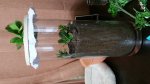 20170601_232351.jpg