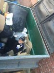 dumpster diving for the win!.jpg
