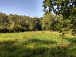 IMG_20170904_161607184_HDR.jpg