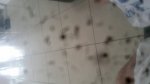 20171014_121654.jpg