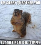 323d05323cfeb587519c8c4640656a45--funny-animal-memes-animal-captions.jpg