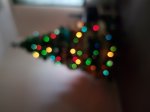 20171202_131345.jpg