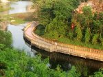 IMG_20171203_124423.jpg