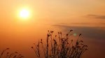 IMG_20171031_074432.jpg