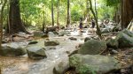 IMG_20171024_120121.jpg