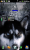 snap20110105_220328.png