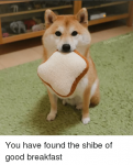 annei-you-have-found-the-shibe-of-good-breakfast-25377167.png