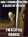 funny-photos-of-awful-puns-good-buns-bad-puns-funny-puns-little-horse.jpg