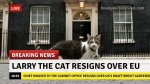 larry-brexit-resign.jpg