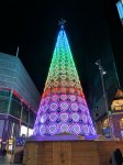 IMG_20181126_165949.jpg