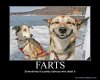 633880617653446260-farts.jpg