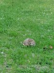IMG_20200329_193223.jpg