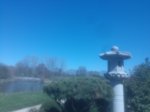 IMG_20200421_144818900.jpg