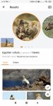 Screenshot_2020-06-13-18-17-44-008_com.glority.picturebird.jpg
