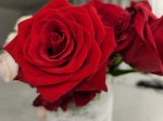 20200902_204852.jpg