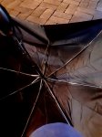 20200902_072406.jpg