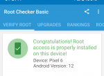 rooted_pixel_6.png