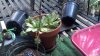 2011-07-22_17-04-13_653.jpg