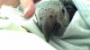 2011-07-20_13-42-16_499.jpg