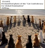FB_IMG_1748278132677.jpg