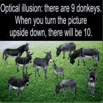 1000000713.png