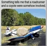 1000000727.png