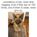1000000786.jpg