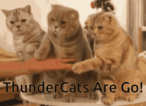 cats-thunder-cats.gif