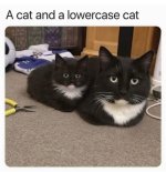 FB_IMG_1750384890581.jpg