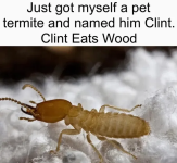 1750508869181.png