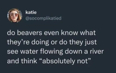 1752006866275.png