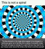 1000001400.jpg