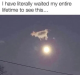 1753984146887.png