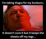 1754175856532.png