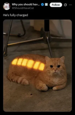 1754216983967.png