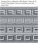 1000001726.png